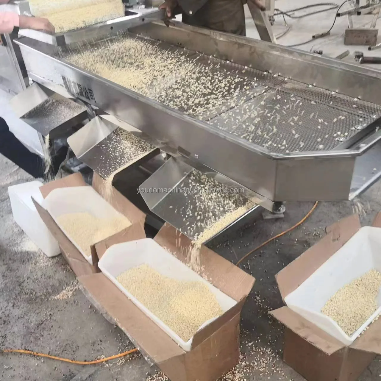 Hot sale stainless steel nuts cutting and grading machine for peanut cashew nut almond milling machine