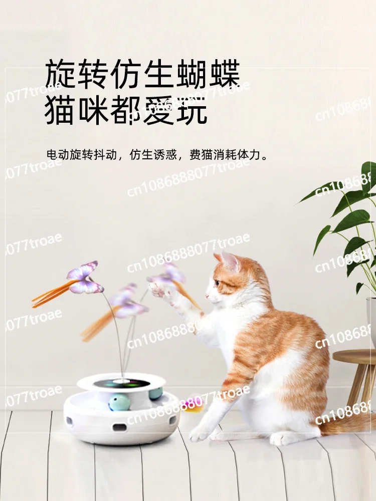 Smart cat toy, a self entertaining tool