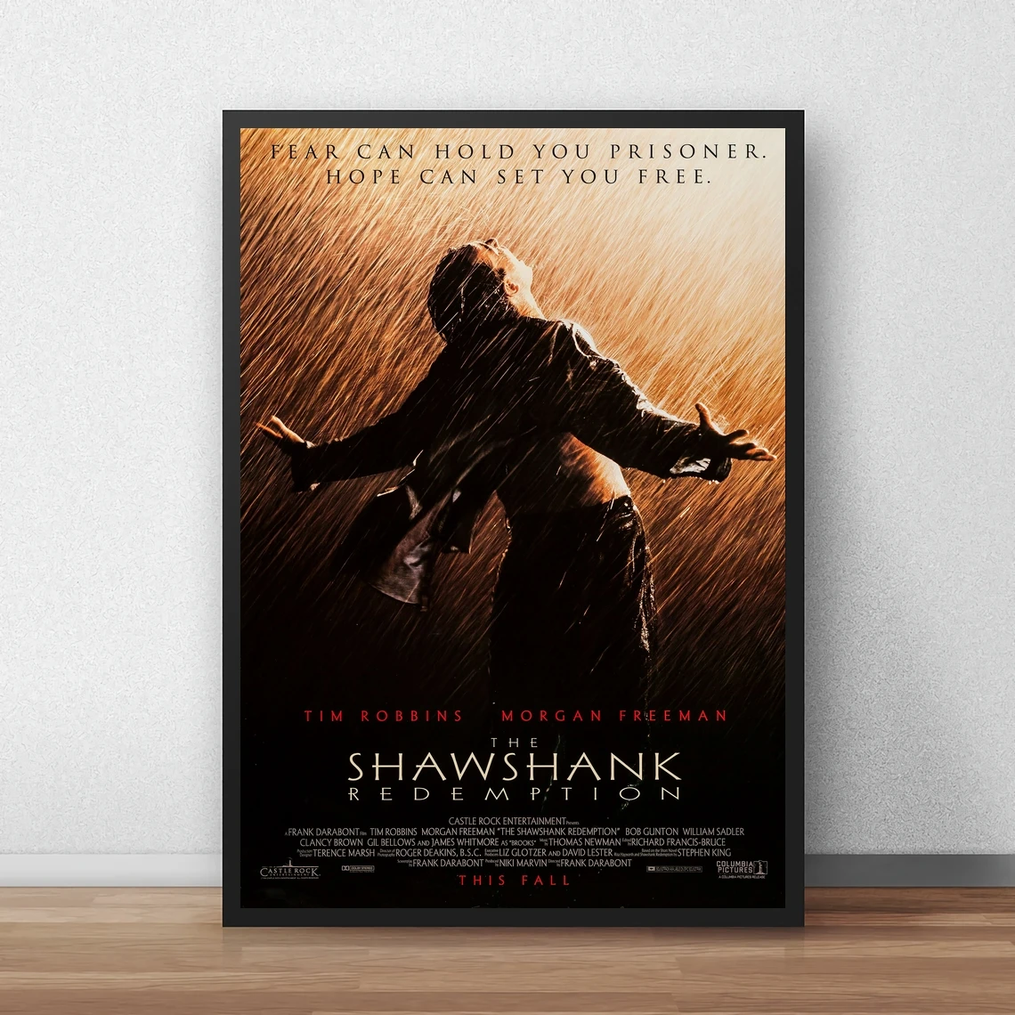 The Shawshank Redemption Movie Poster Classic 90's Vintage Canvas Art Print Home Decor Wall Painting ( No Frame )