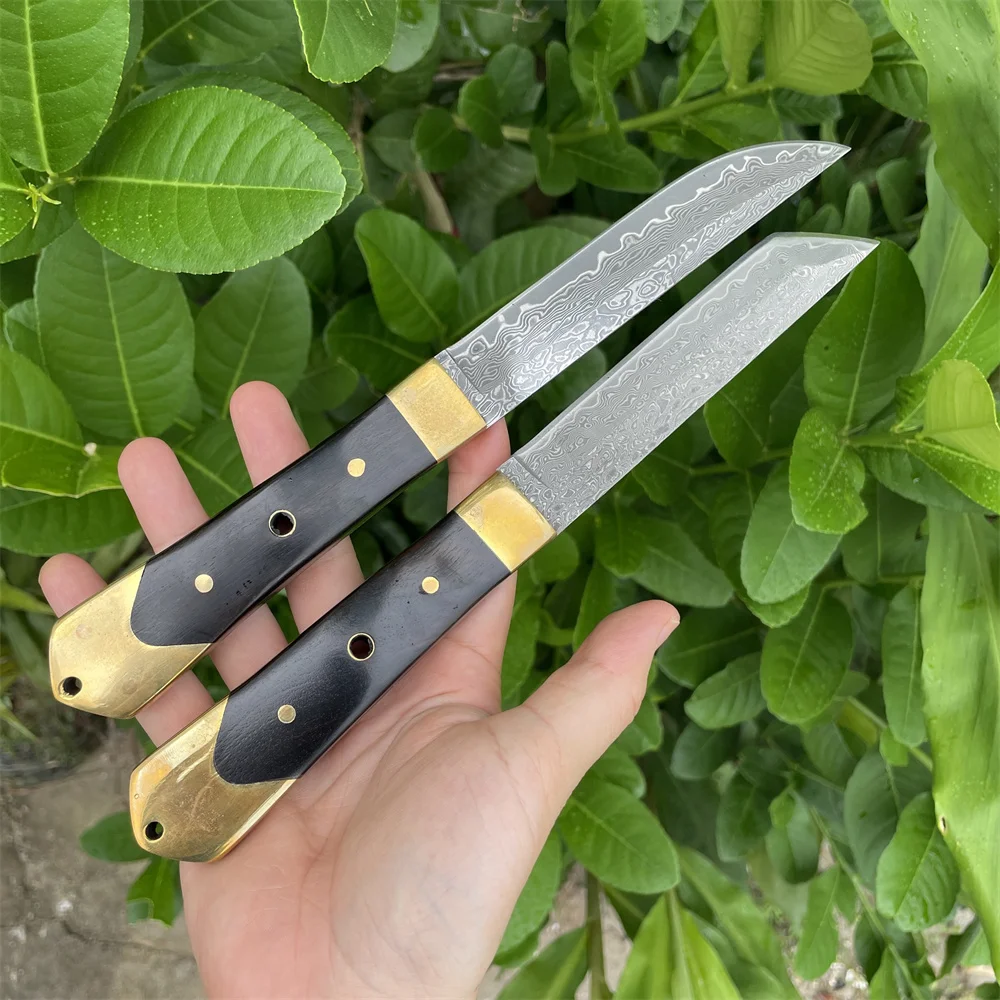 

High Hardness Damascus Steel Drop Point Blade Wood Handles Outdoor Hunting Kniife, Japaness Style Tanto Blade Tactical Knife