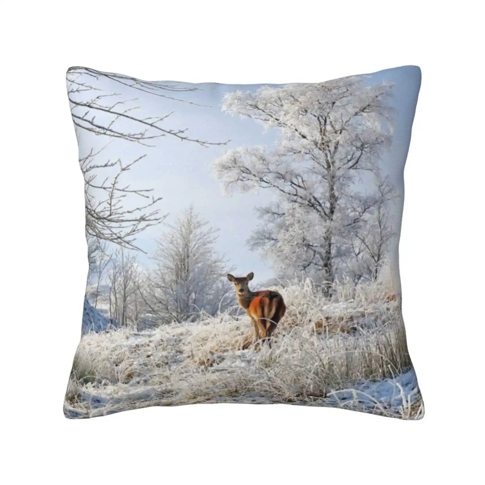 Glen Shiel Misty Winter Deer Funny Cute Decor Square Pillowcase Glen Shiel Winter Snowy Landscape Scotland Scottish Landscape