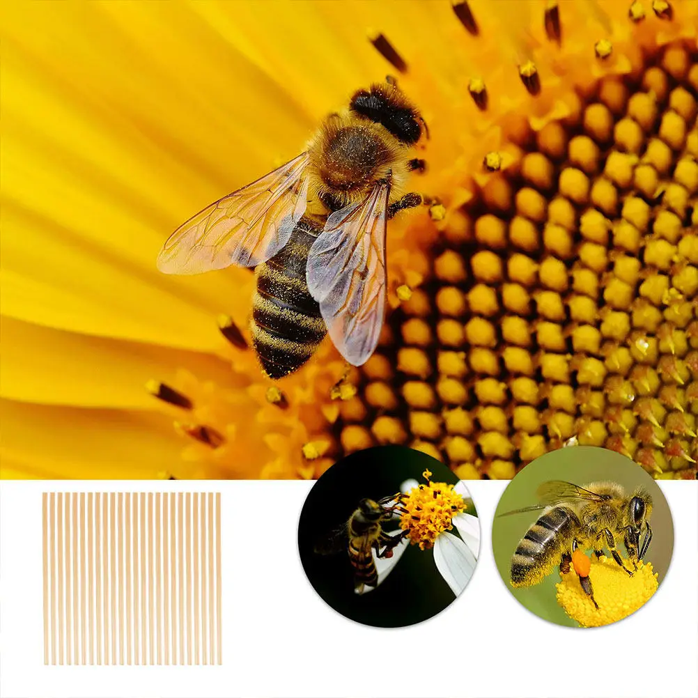 100Pcs Bee Nesting Tubes Natural Wheat Straw Bee Tubes Easy Installation Replacement Refill Hive Parts for Beekeepers