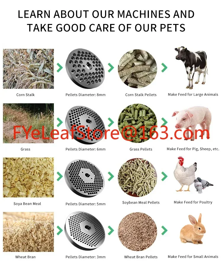 Feed processing machines pellet machines for animal feed poultry chicken fish feed pellet making machine 160 kg/h