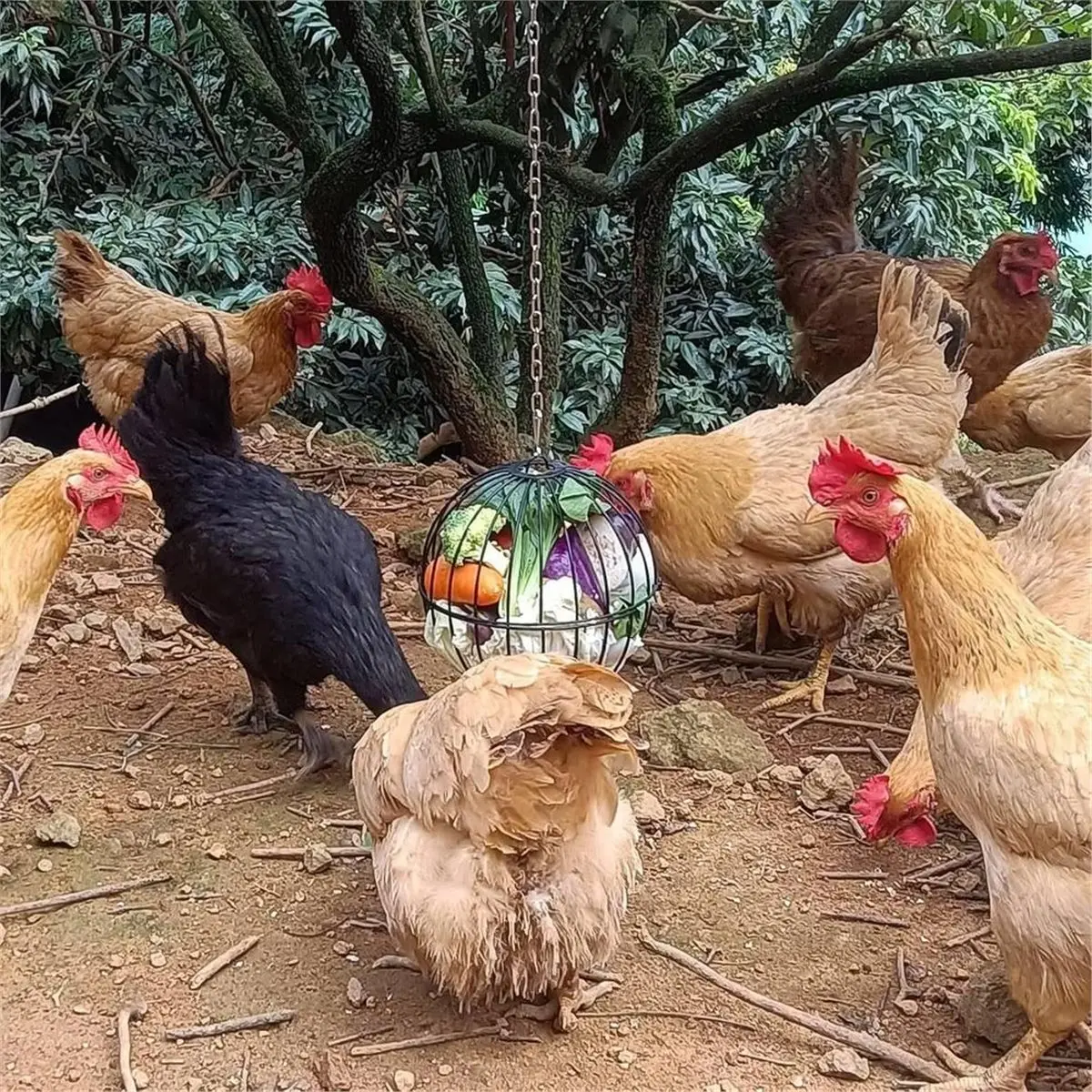 2pcs Hanging -Large Metal Chicken Vegetable Treat Ball-Sturdy Chicken Treat Dispenser with Chain