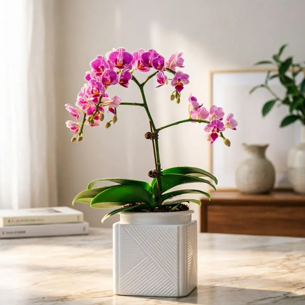 Geometric Texture Flowerpot Automatic Water-absorbing Flowerpot with Transparent Water Level Indicator Self-watering for Indoor