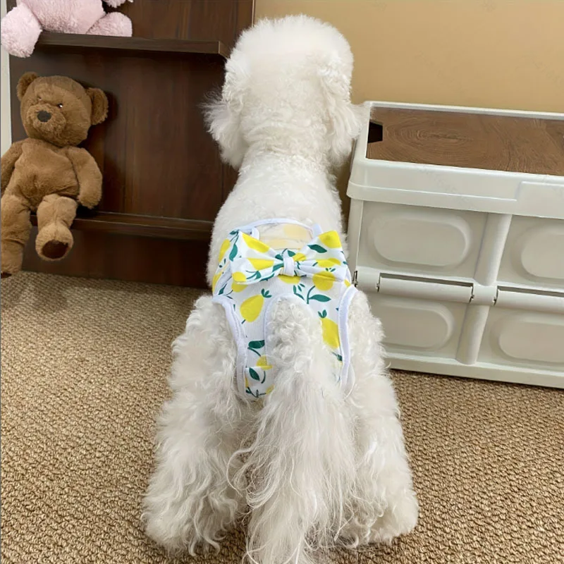 Reusable and Adjustable Dog Diaper Pants - High-Quality Breathable Mesh Menstrual Pants, Suitable for Indoor and Outdoor Use, Stylish Lemon Leaf Pattern Design, Comfortable Pet Clothing, Available in Two Colors