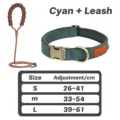 Cyan Set