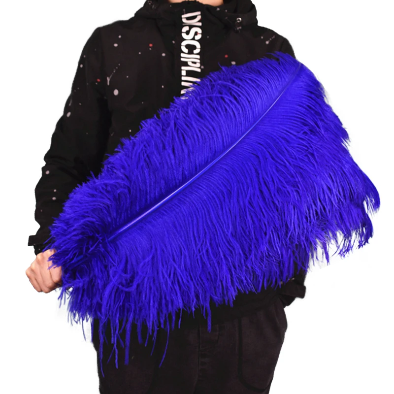 Royal Blue Ostrich Feather Decor 15-70cm/6-28