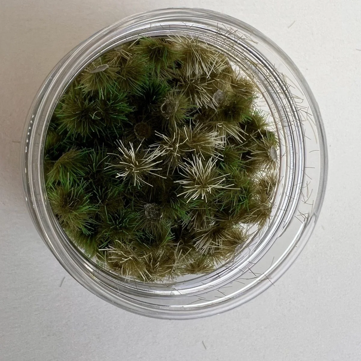 Kits de Wargaming de touffes d'herbe miniatures 35ml/120ml, pour la fabrication de modèles HO Diy/aménagement de Train ferroviaire/paysage de Table/Diorama de Terrain