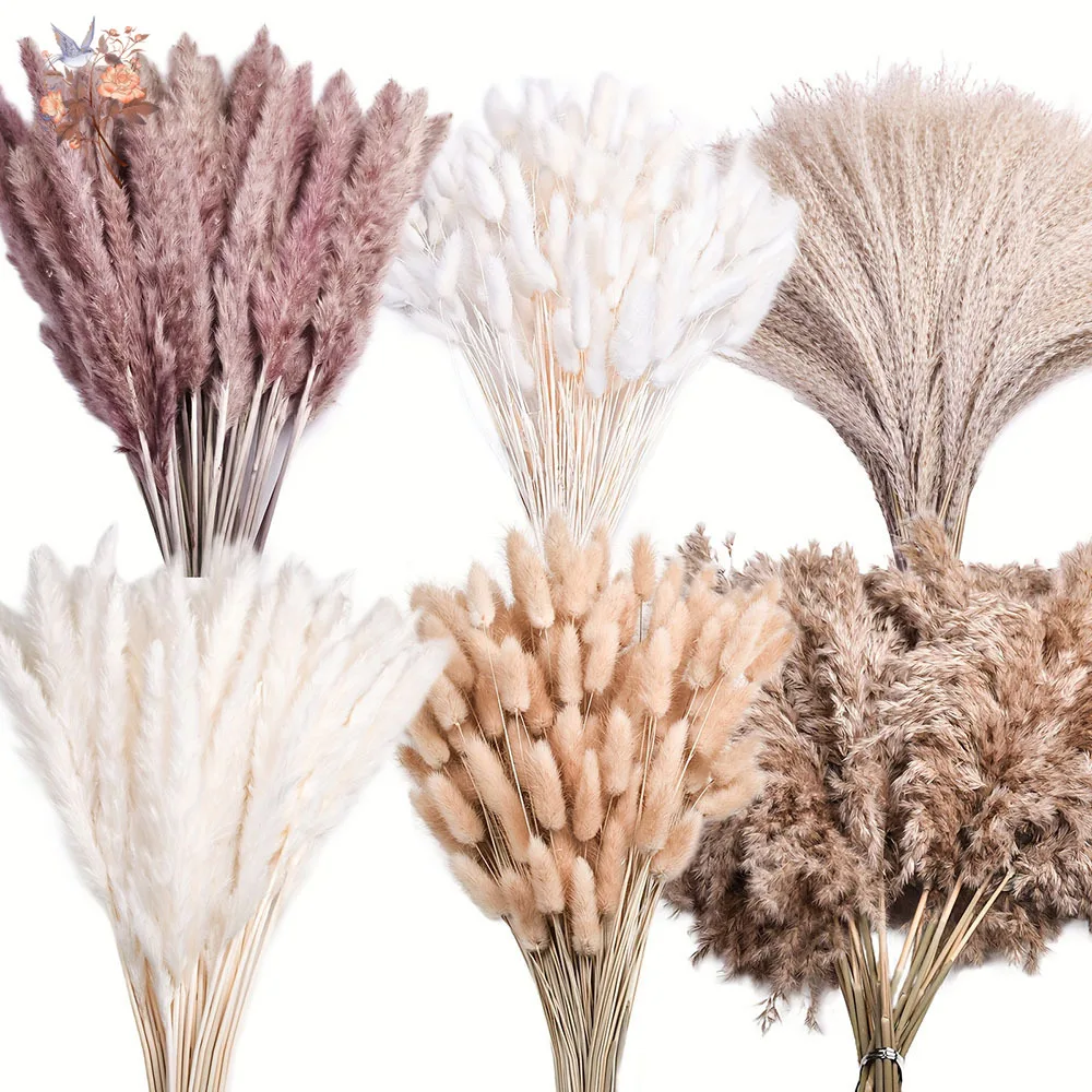 

325PCS Mixed Fluffy Large Pampas Grass Dried Flowers Bouquet Bunny Tails Reeds Natural Preserved Floral Arrangement for Boho Home Decor Living Room Bedroom Wedding Farmhouse Vase Filler