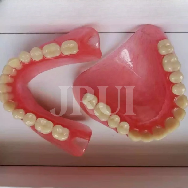 Wholesale Full Mouth Denture Sample Models and Elderly Full Mouth and Half Mouth Tooth Models Are Available