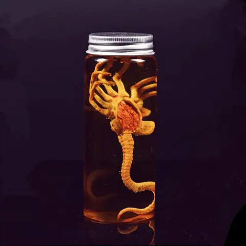 Alien Jar Xenomorph Specimen Facehugger Embryo Jar Movie Prop Replica