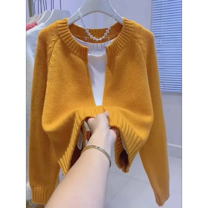 2024 Autumn and Winter New Korean Version of The Loose Lazy Outside The Zipper Knitted Cardigan Short Sweater Jacket Female