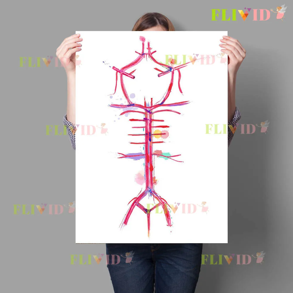 Watercolor Cerebral Vascular Anatomy Canvas Painting,Medical Brain Blood Vessel Wall Art,Colorful Neurology Poster Print Decor