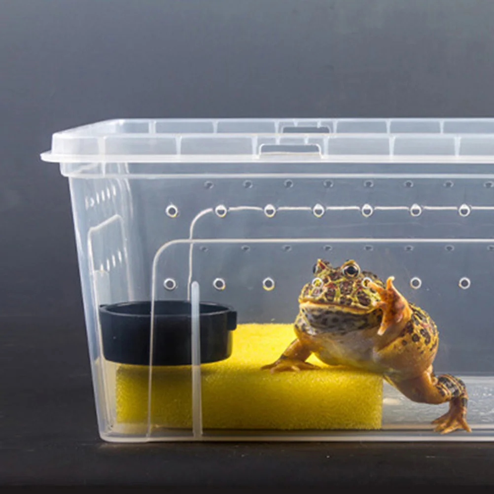 

10pcs Reptile Feeder Bowl Plastic Hanging Feeding Trough For Tortoise Lizard Snake Spider Reptile Food Water Dish Supplies
