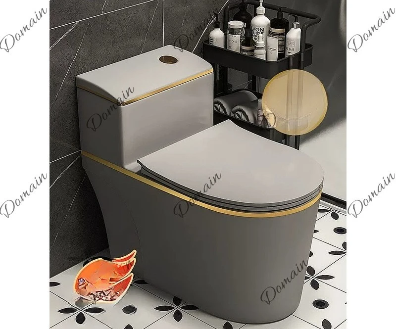 Gray Home Toilet Water-Saving Siphonic Ceramic Compact Simple Colored Toilet Bowl