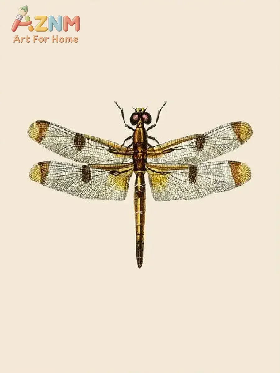 AZNM Vintage Dragonfly Insect Canvas Wall Art Retro Entomology Specimen Illustration Art Print Unframed Canvas Poster for Study