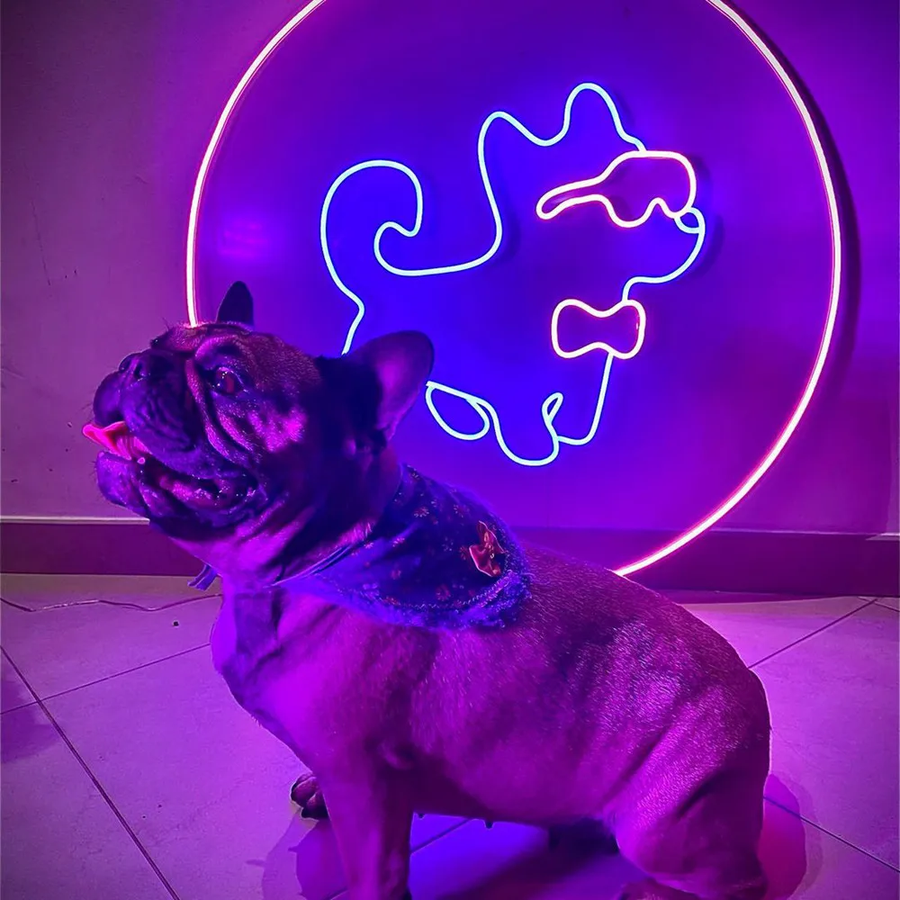 

Custom Led Neon Sign Happy Brithday Bride To Be Neon Light Sign Design Wedding Decor For Gym Room Wall Decoration Dog Neon Sign