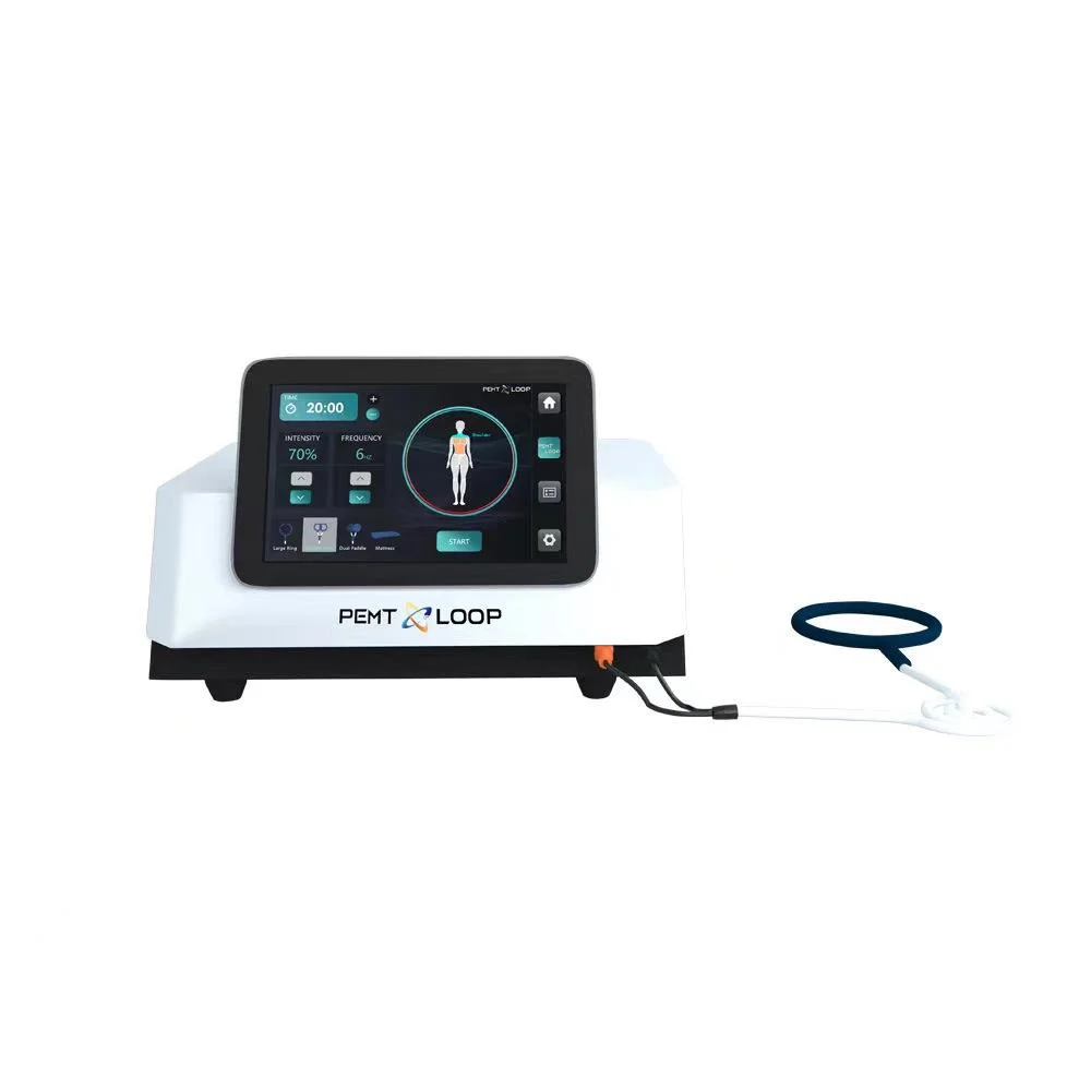 Professional Pemf Therapy Magneto Equines Pmst Loop Portable Magnetotherapy Pemf Therapy Machine for Horses