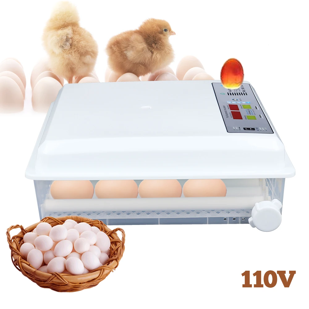 Large Capacity Automatic 64 Digital Egg Incubator Hatcher 110V & 12V Temperature Control