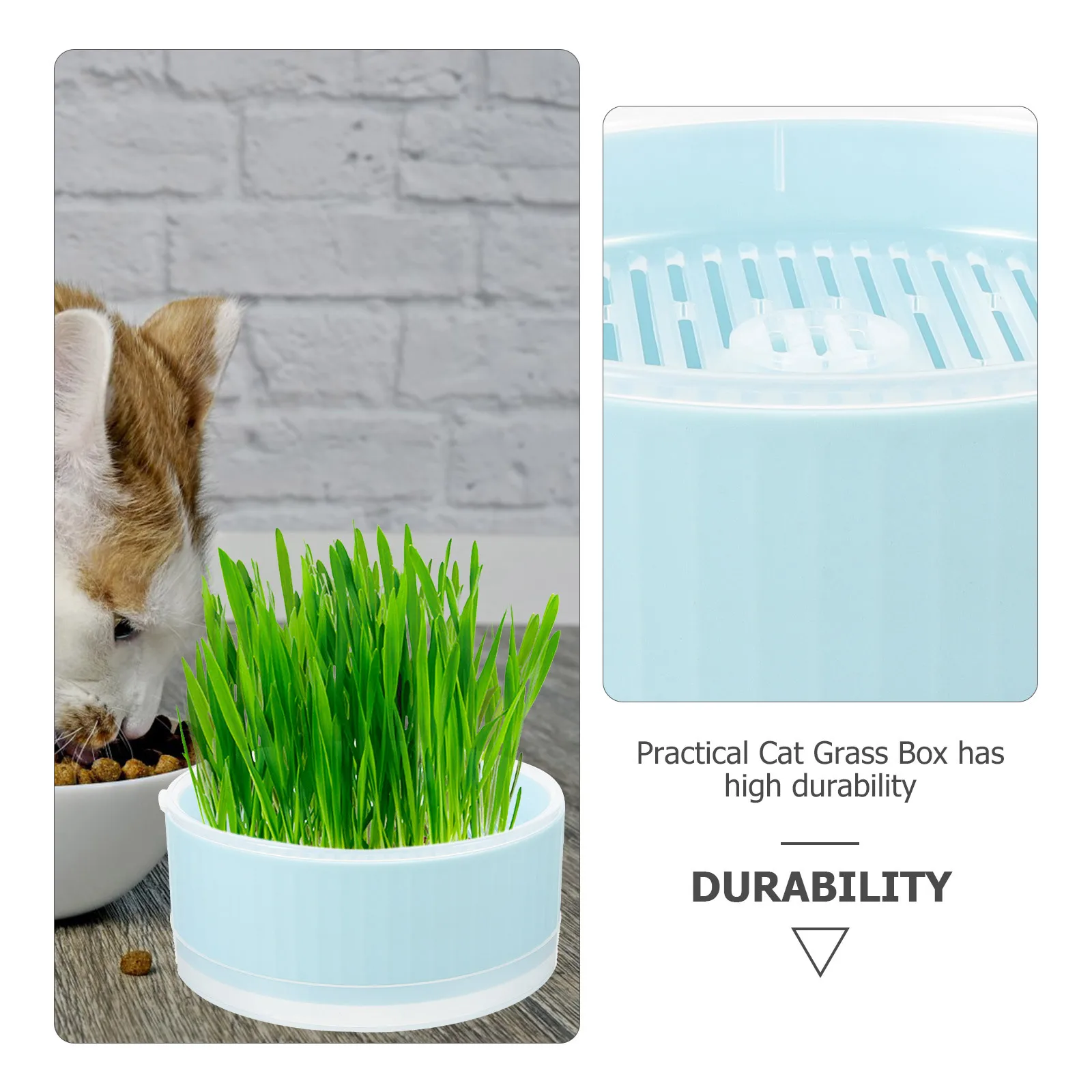 

Cat Grass Box Soilless Hydroponic Planter Household Nursery Convenient Planting Box for Pet Hydroponic Cat Plant