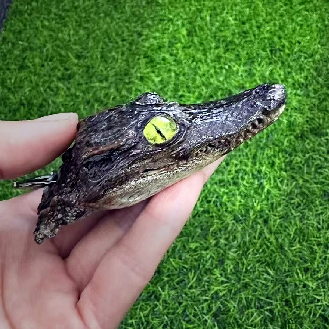 2188 Wholesale Crocodile Head Decoration Resin Art Specimens Handicraft Gothic Wall Decoration Christmas Halloween Party Gifts
