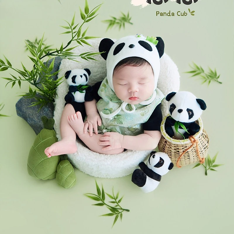 Newborn Photography Props Cute Panda Outfit with Hat Dolls Backdrop Bamboo Leaves Stones Decor for Baby Studio Photoshoot