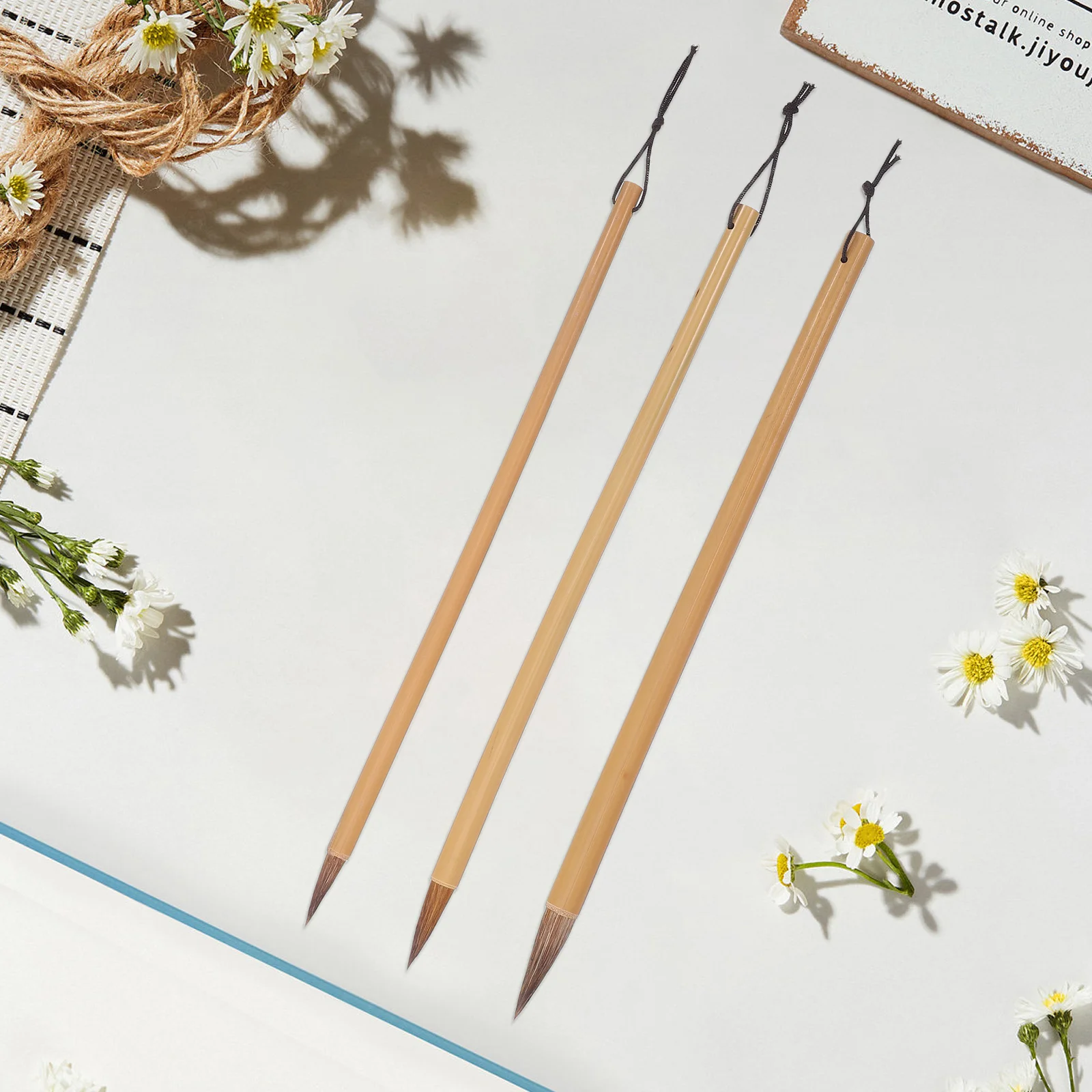 

3 Pcs Student Bamboo Brush Chinese Brushessumi Wolf Calligraphy Kits for Beginners