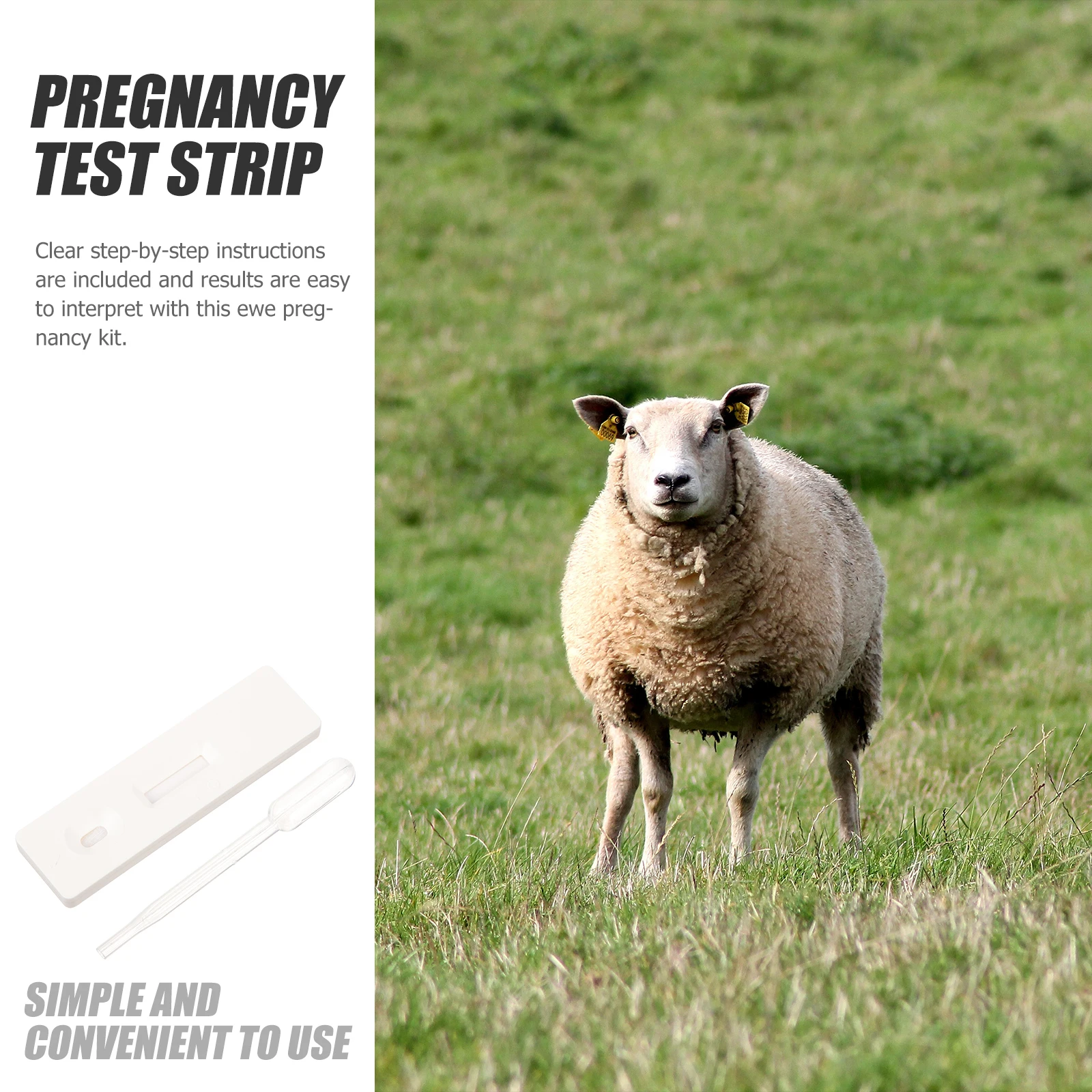 

Animal Early Pregnancy Tester Detection Sheep Kit Testing Equipment Animals Veterinary