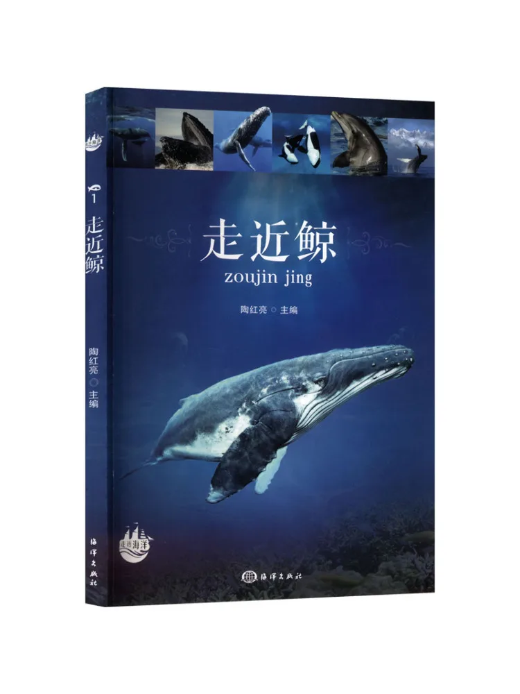 Book-Winshare Approaching the Whale