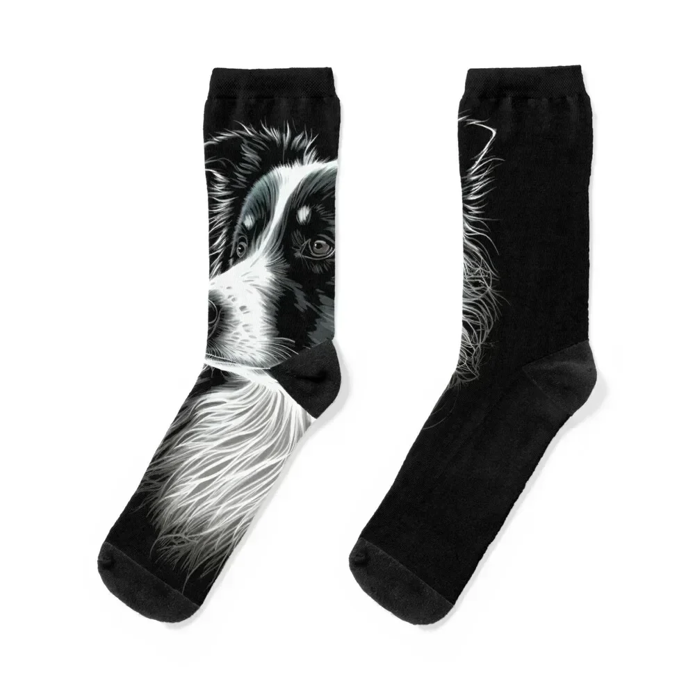 

Border Collie Face For Dog Lover Socks Wholesale luxury kids Novelties Woman Socks Men's