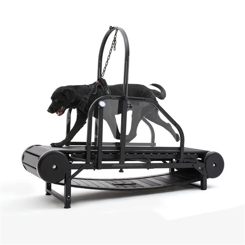 

Pet Treadmills Equipment Non-1 Dogs Training Machines Doggy Exercise Sport Walking Slatmill