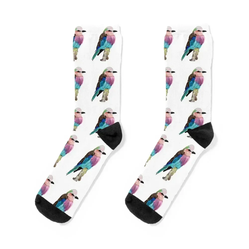 Lilac Breasted Roller Bird Socks ankle kawaii Boy Socks Women's