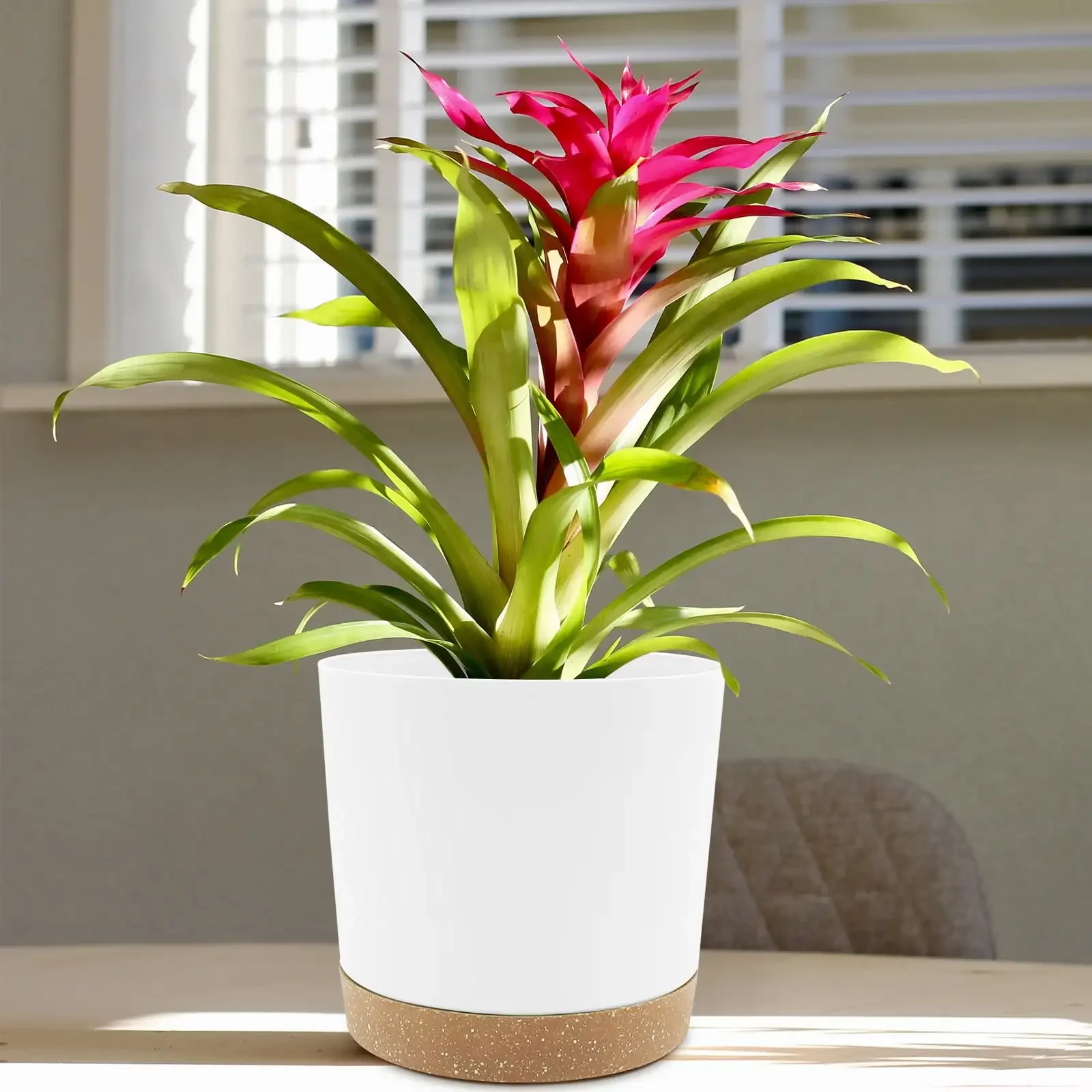 2 Pack 6.5 Inch White Plastic Indoor Plant Pots, Planters with Drainage Holes and Removable Base ****