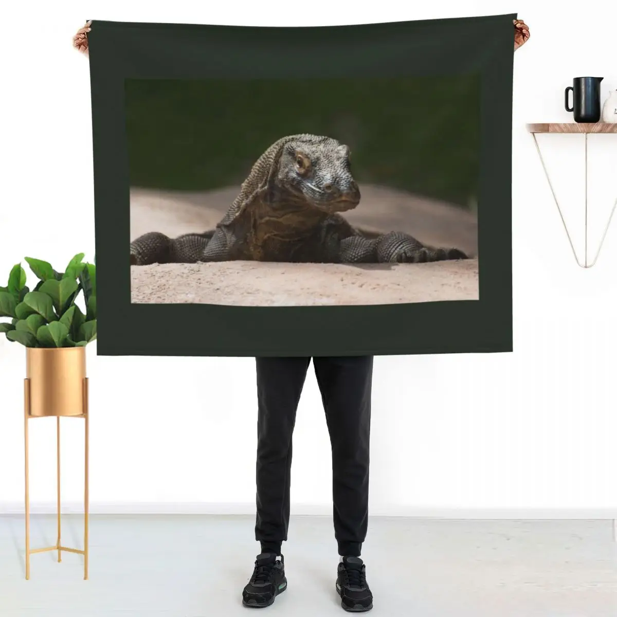 Komodo monitor dragon Throw Blanket Flannel Fabric Plush Thin Decoratives Thermal Winter beds Blankets