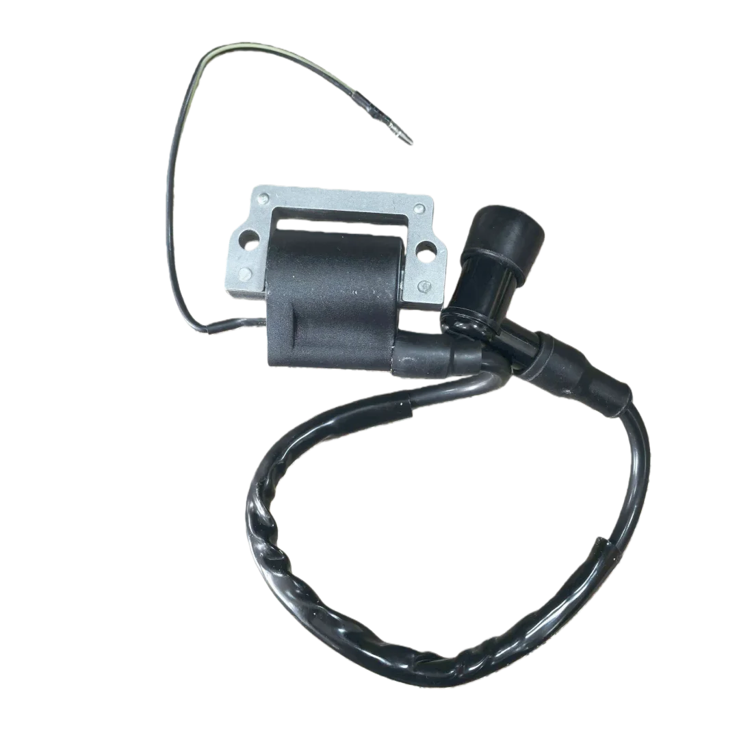 3 Pcs Ignition Coil For Z50A R LB50 RS100 RX100 DT100