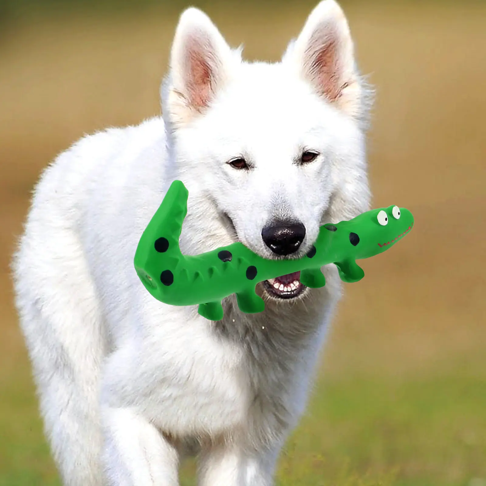 

Latex Interactive Lizard Chew for Dogs Cleaning Teeth Biting Squeaky Playful Puppy Small Medium Large Squeaky Dog Toys