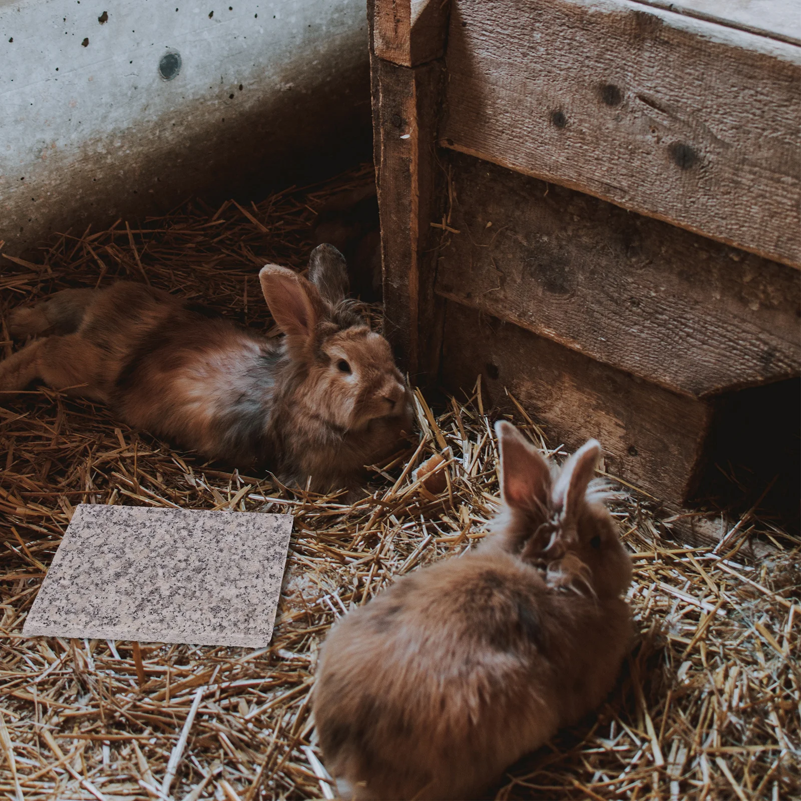 

1Pcs Summer Pet Cooling Plate Hamster Marble Cooling Board Bite Resistant Natural Material Small Animal Supplies