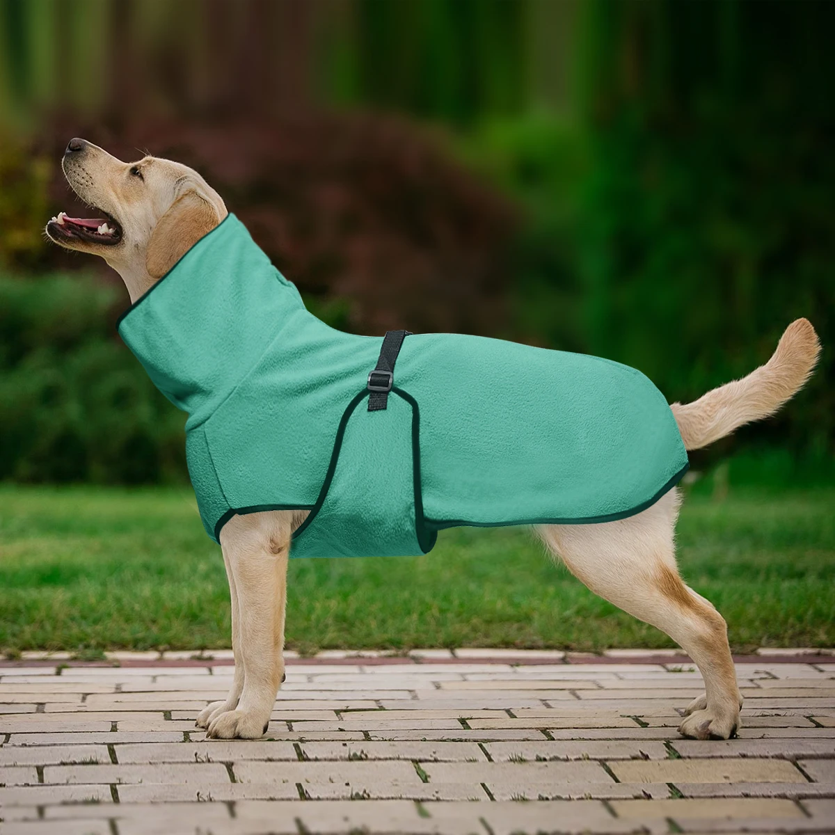 Thumbnail 4 - #23 Latest Puppy Coats Offers