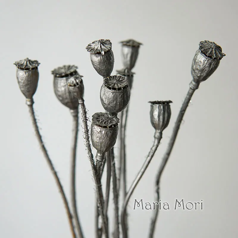 10 Stück/konservierte Blumen, Mais Mohn, Obst, Heimdekoration, DIY-Material, Kristallkleber, handgefertigte Kerzen, Epoxidharzblumen, Gold, Silber – Detail 7
