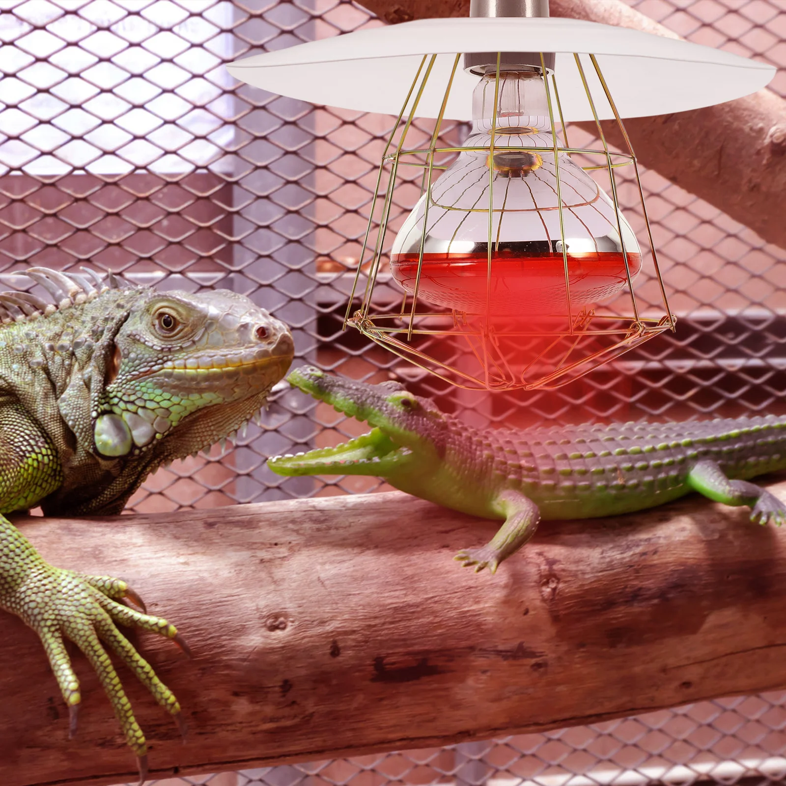 

1pc Chicken Coop Heat Lampshade Metal Farm Heater Guard For Poultry Livestock Reptile Tank Accessories Pet Heating