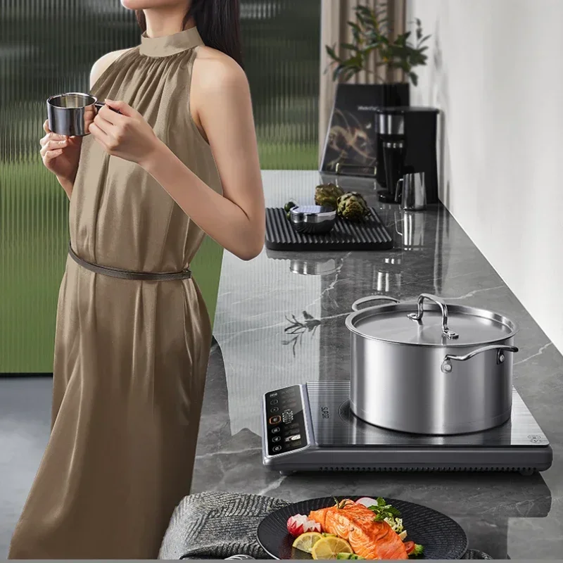 Induction Cooker Hot Pot Cooking Integrated Household High-Power Multi-Function 220V Battery Oven Estufa Eléctrica 인덕션