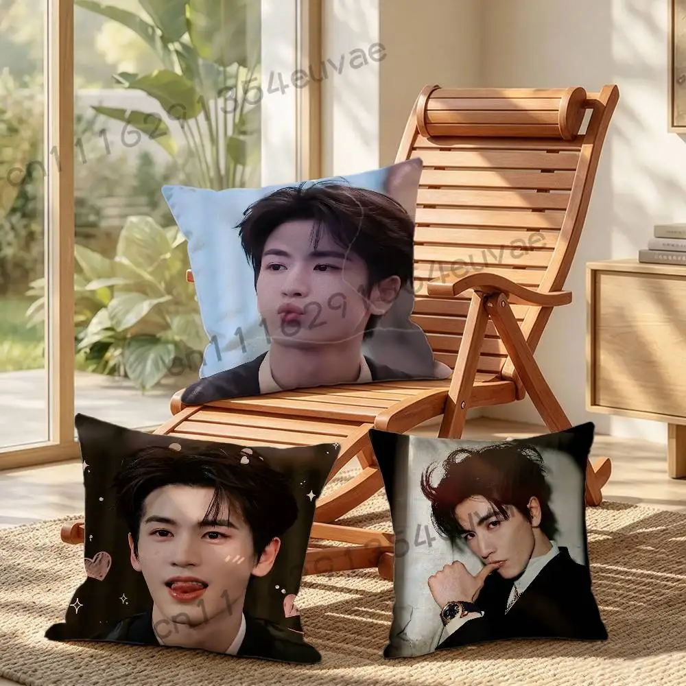 Zhang Linghe China Actor Pillow Cushion Cover Pillowcase Living Room Sofa Home Decor Customized Cartoon