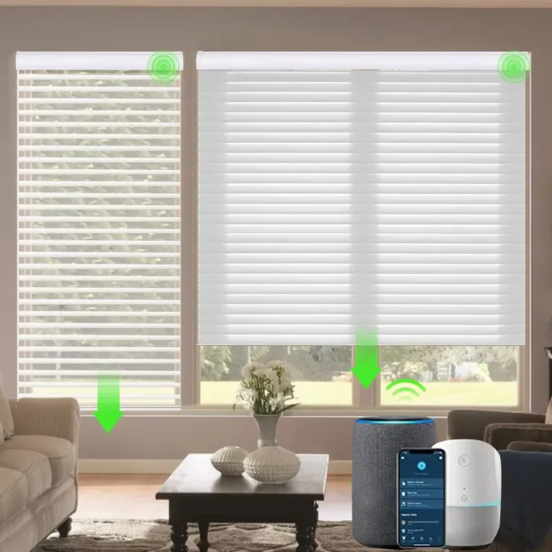 Modern Electric Shangri-La Blinds Double Layer Smart Roller Shade Light Filtering Fabric Transparent Window Covering Deluxe