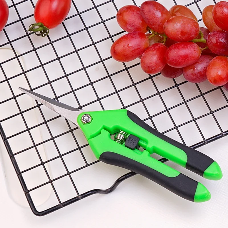 

Stainless steel pruning tools, garden pruning, fruit picking, weed harvesting, household potted plants, branch pruning