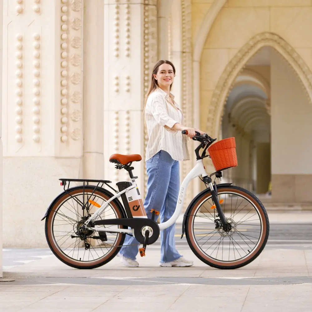 2024 NEW DYU C6 PRO Electric City Bicycle Steel Frame Hidden Lithium Battery Cheap Electric Road Bike