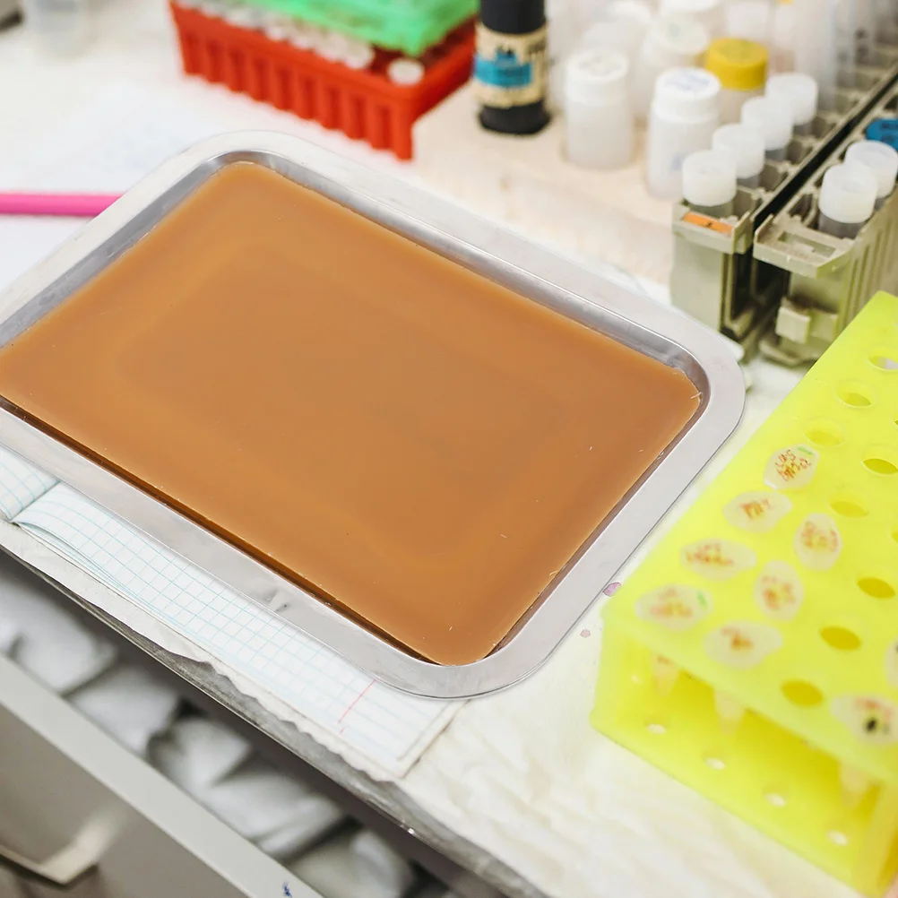 

2Pcs Metal Dissecting Pan Wax Tray Durable and Reliable for Precise Laboratory Experiments Laboratory Trays Metal Tray