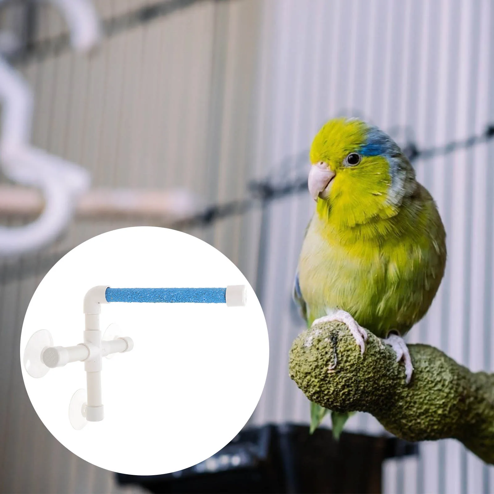 

Scrub Portable Bird Parrot Perches Suction Cup Shower Perch Stand Window Shower Bath Wall Paw Grinding Stand Toy (Ramdom Color)