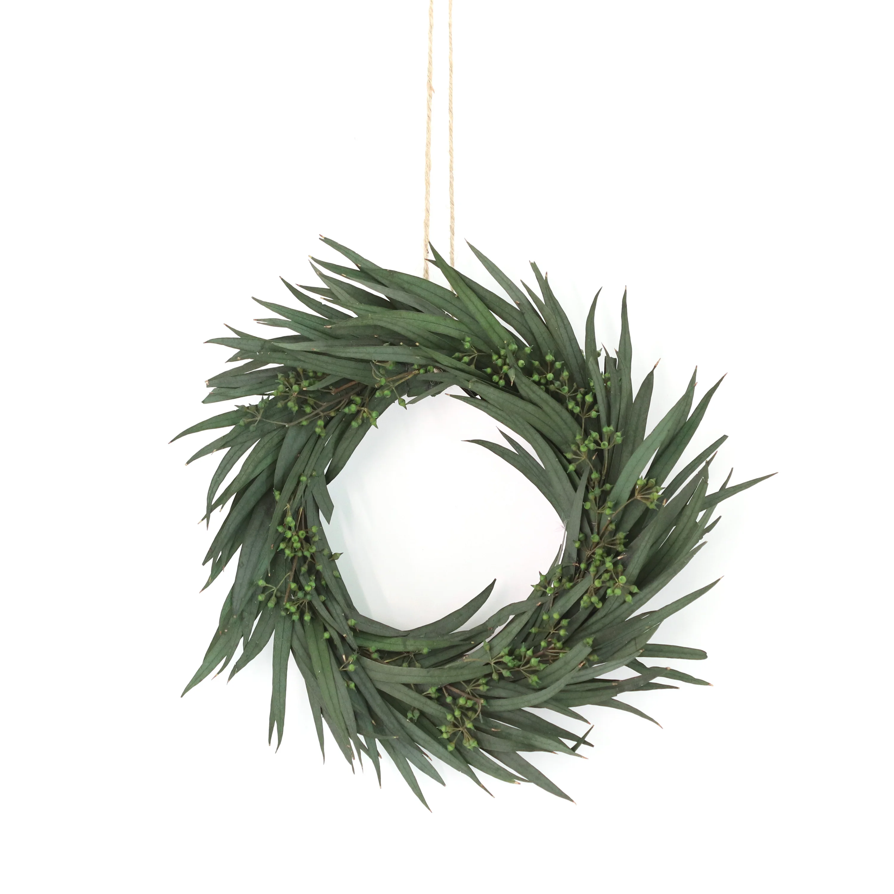 Round Wreath for Front Door, Parvifolia Eucalyptus Wreath, Green Wall Window, Party Wedding Decor, 8.66in, Spring and Summer