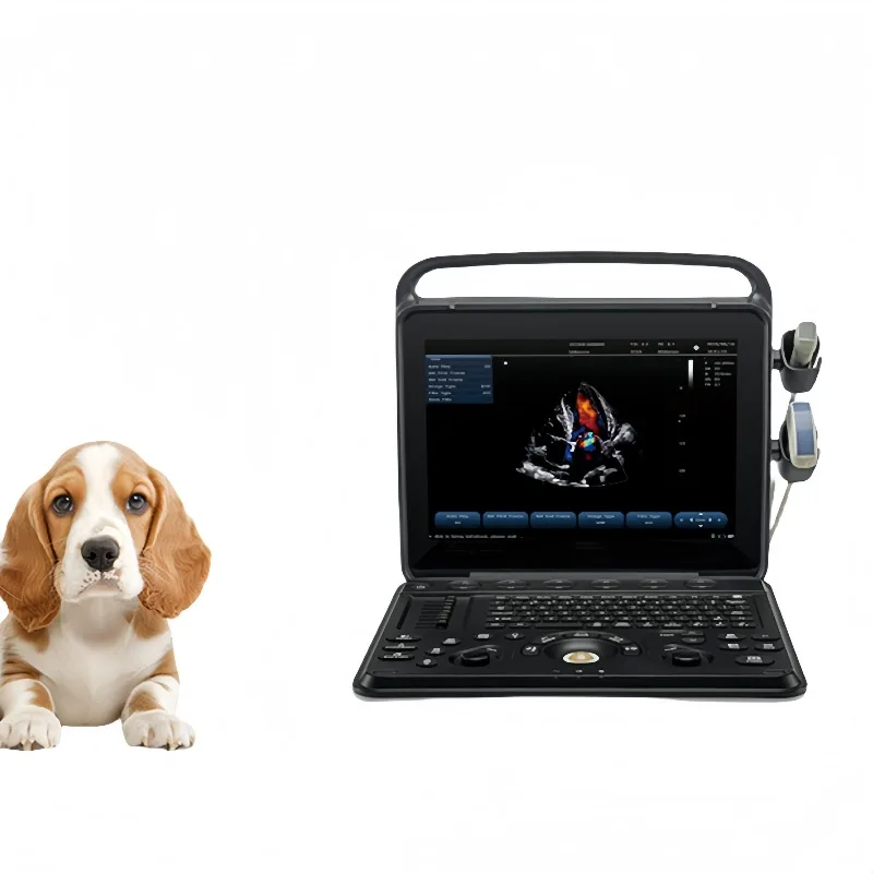 2026 Portable Laptop Type Veterinary Ultrasound Scanner Machine Veterinary Surgical Instruments for Cat and Dog Pet Animals